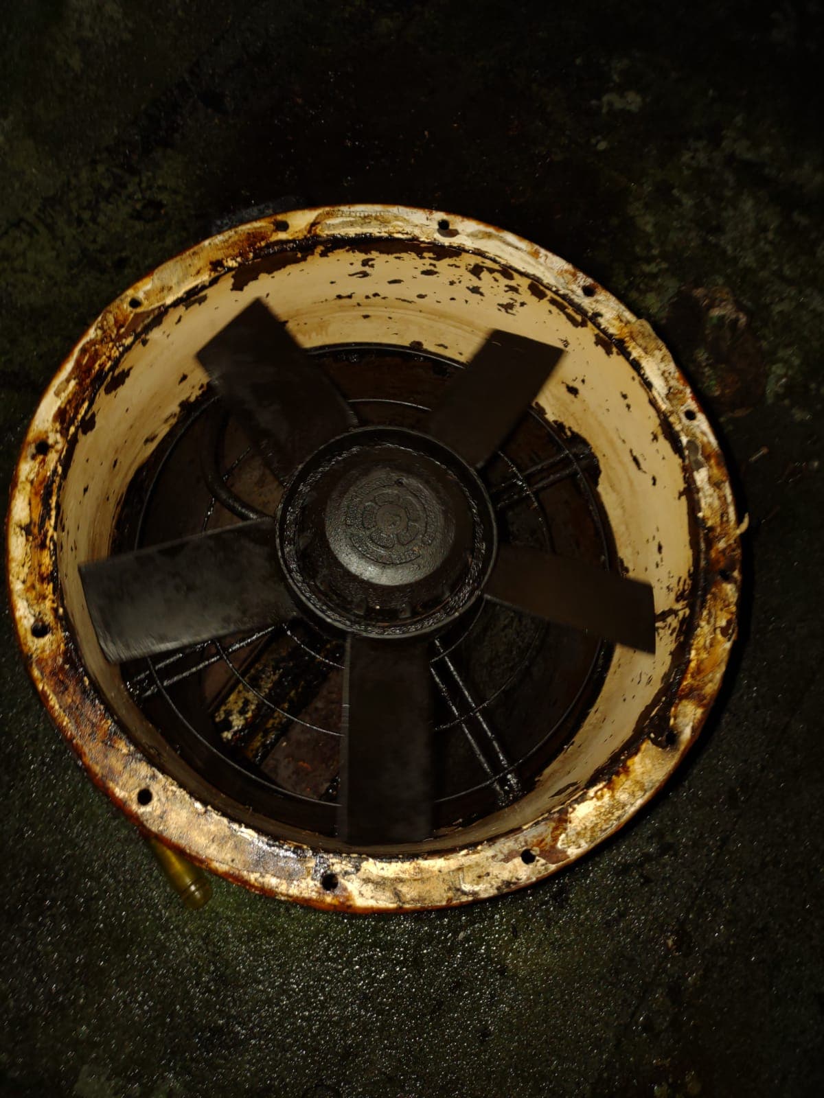 Kitchen Canopy Cleaning, Extractor Fan & Duct Extraction Cleaning in