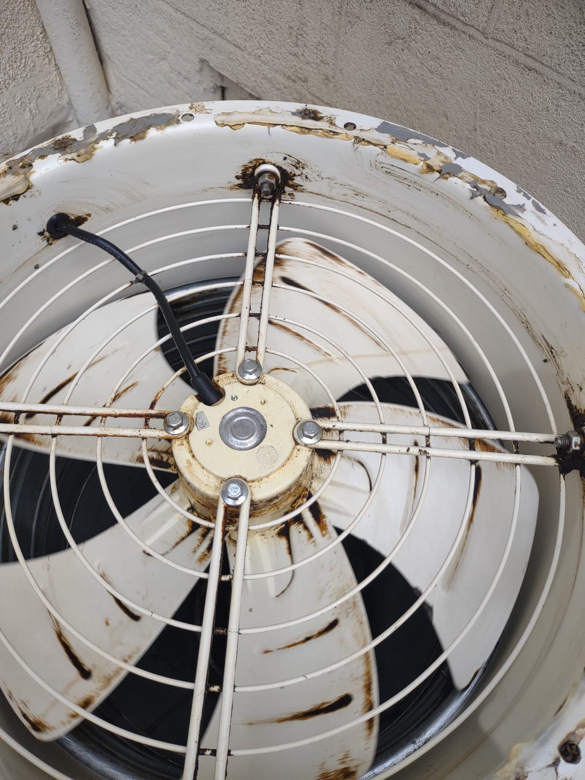 Kitchen Canopy Cleaning, Extractor Fan & Duct Extraction Cleaning in